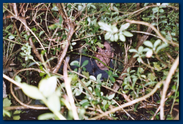 600x399 pixels (158K)